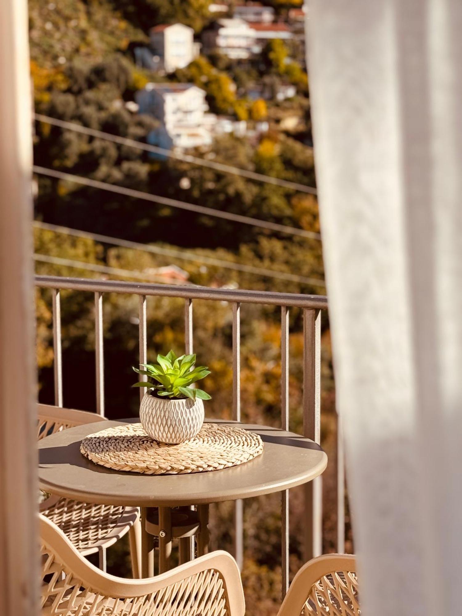 Most Oliva Resort Budva Dış mekan fotoğraf